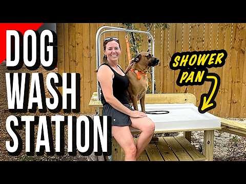 Deluxe Dog Washing Station with Plumbing and Access Ramp
