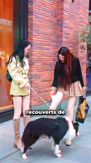 Les leggings portés par les Coréennes ressemblent à du cuir véritable