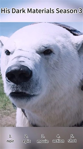 His Dark Materials Season 2 (2020) | Boy Shatters Armored Bear Pride 😱🗡️🐻