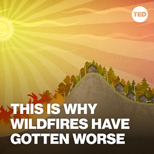 The devastating wildfires that recently swept through Los Angeles, California have unleashed a trail of destruction and despair. Here are some hard truths about what causes catastrophic megafires like these — and how forest ecologist Paul Hessburg says we can address them: http://t.ted.com/1U5k9rG | TED