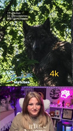DOGMAN 144P Vs. 4k #dogman #cryptids #cryptozoology #144pvs4k #cryptid #reactionvideo #scaryvideos