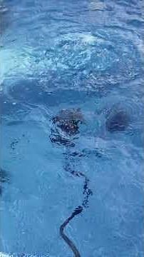 How To Avoid Hot Tub from Freezing & Cracking Pipes