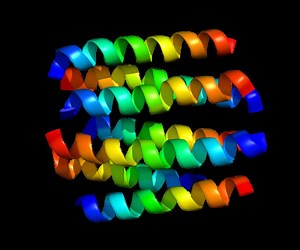 Dopamine receptor D2 - Alchetron, The Free Social Encyclopedia