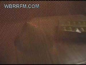 Peeps in the Microwave