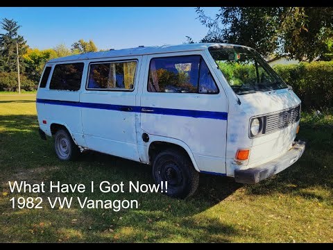 1982 VW Vanagon my latest purchase what Have I done?