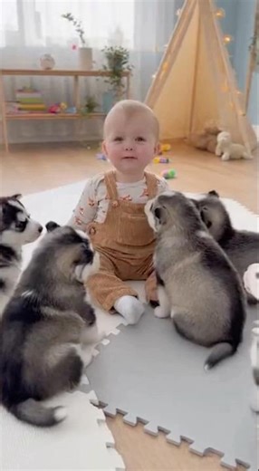 Cutest Choir Ever: Baby Leads, Husky pups Howl & Bark Along!👶🐶🎶😂