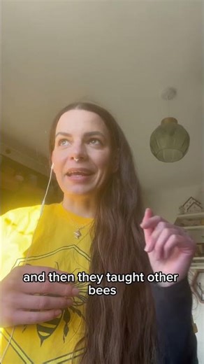 Bees Learn by Watching Other Bees