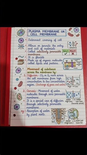 class-9 plasma membrane or cell membrane