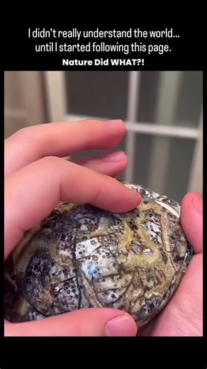 Sᴜᴍɪᴛ | This stunning geode is a naturally occurring rock formation that formed over millions of years. Geodes begin as hollow cavities in volcanic... | Instagram