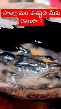 Do you know the uniqueness of Salagramam? | Shalagramam Shila Mahima | Hindu Devotional