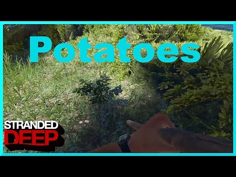 How To Find Potatoes for Fuel - Stranded Deep Tips 📌