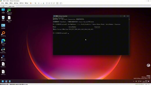[机器码]：针对WMI查询硬件信息，修改硬件序列号与UID，以硬盘为例
