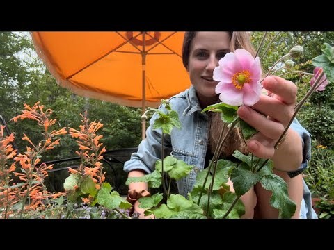 Two Super Easy Fall Perennial Containers | The Reckless Garden