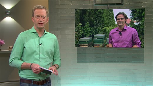Kaffee oder Tee: 25 Jahre Kaffee oder Tee - Bienenparadies mit Martin Seidler