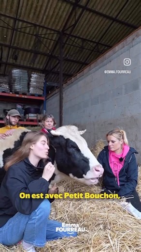 Suzi Handicap Animal on Instagram: "Merci à @emma.fourreau députée européenne engagée dans la défense de la cause animalière pour son soutien pour💔🙏🐄🐮 petit bouchon ♥️💔🥺😭😢 après avoir été DOUTEUX au test de tuberculination , il a été positif à l’interféron gamma , nous demandons avec l’accord des services vétérinaires de faire un nouvel examen à petit bouchon pour avoir une réponse sur d’un examen plus sur concernant la tuberculose . Aujourd’hui nous demandons une contre expertise pour n