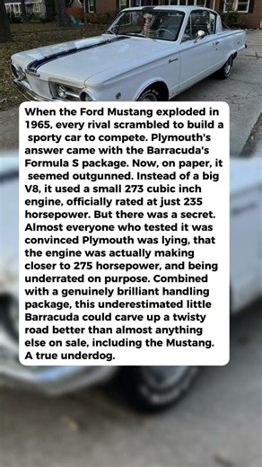 The 1965 Plymouth That Fought the Mustang GT With a Small Block Everyone Underrated
