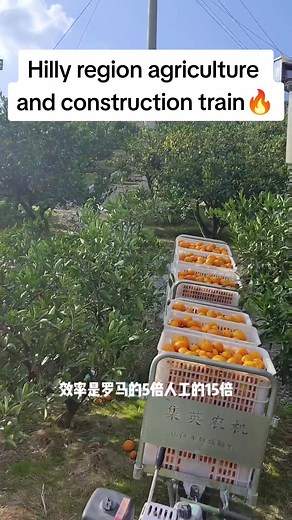 Agriculture and Construction Monorail Conveyor for Professional Transport