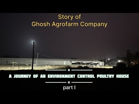 "From Ground to Shed: Building My EC Poultry Farm"