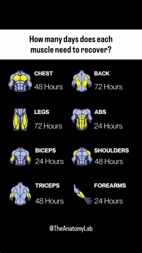 How many days does each muscle need to recover? #shorts #fitness #gym