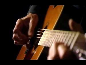 Roger Waters - Brain Damage - acoustic version ✔