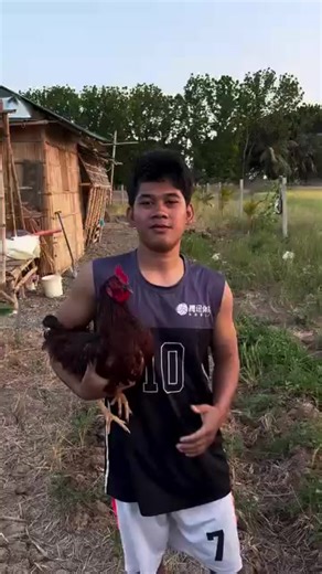 RODE PLAY (@rode.play)’s videos with original sound - RODE PLAY