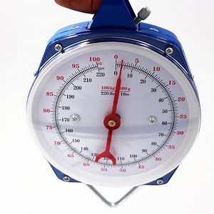 [Hot Item] Metal Stainless Steel Hook 200kg Dial Mechanical Animal Hanging Weighing
