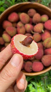Have you tried sweetheart lychees? 💕 They are known for their unique heart shape, juicy flesh, and small seed 😍 We have a limited amount available this week. Their season is always so short which makes us really savor them when they’re here 😘 ➡️ MiamiFruit.org 🌈 #miamifruit #lychee #lychees #sweetheartlychee #sweetheartlychees #tropicalfruir #fruit | MiamiFruit