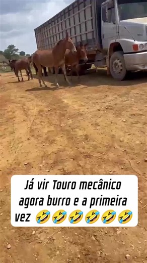 😂😂😂 . . . . . . . . . . #viral #muladeiros #rodeio #mula #muar