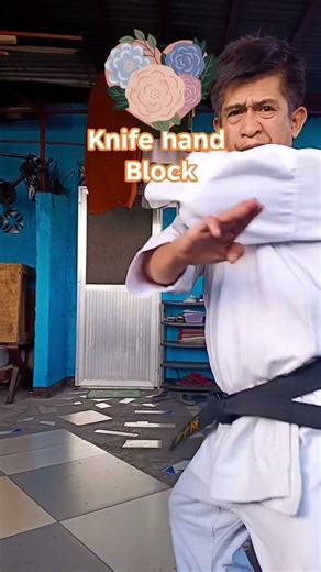 knife hand block back stance #training #karate #basic