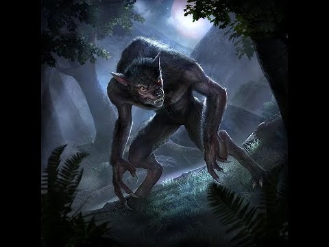 Skyrim Aela the Huntress turns into a werewolf(MOD)