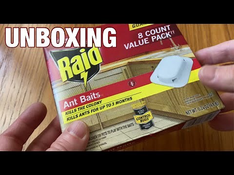 Raid Ant Killer Baits