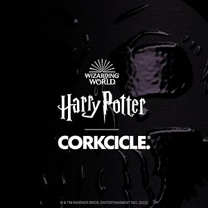 1.2K reactions · 262 shares | Push the boundaries of magic like He-Who-Must-Not-Be-Named with our new Dark Mark insulated Drinkware Collection. | CORKCICLE | Facebook