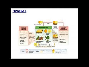 SVT 2nde | THÈME 3 | 2-1 structure et fonctionnement des agrosystèmes (2/4)