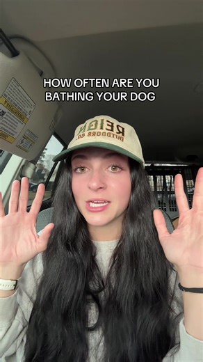 And yes I understand there are exceptions I’m simply just talking about the people who don’t want to wash their dogs #doggroomer #doggrooming #doggroomerlife #dogbath #dogwash