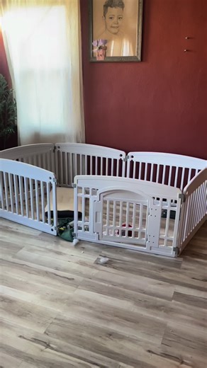 Best Dog Cage Choices for Your Pets