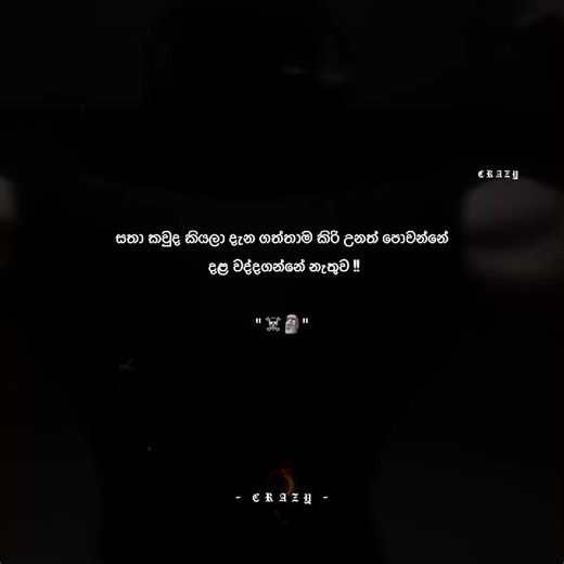 Inspirational Crazy Quotes to Empower Your Day