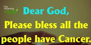 245K views · 101 reactions | The meaning of life on Reels | Facebook