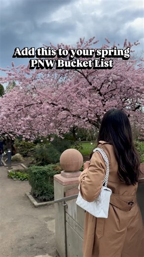 Seattle/Bellevue Girlies - Add this to your 2026 Spring PNW Bucket List 🌸 If you’re looking for cherry blossoms in Bellevue (without the Seattle crowds), head to Bellevue Downtown Park this spring season. @visitbellevue The cherry blossom trees are easy to miss — they’re closest to Bellevue Square and near the Piloti sculpture. Cherry blossom season in the greater Seattle area typically runs mid-March through early April, and peak bloom only lasts a short time. This footage was taken last March