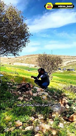 Stunning spring scenery | Al-Hisha | Southern Jordan #nature #travel