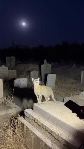 What is saw yesterday 😪 | Oja Moja