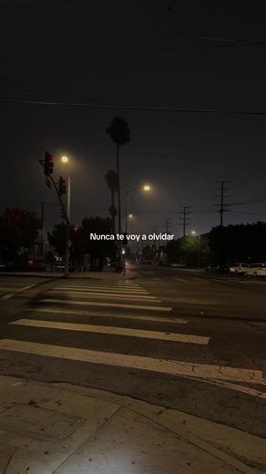 elmorenogt1 (@elmorenogt1)’s video of I Will Never Forget You