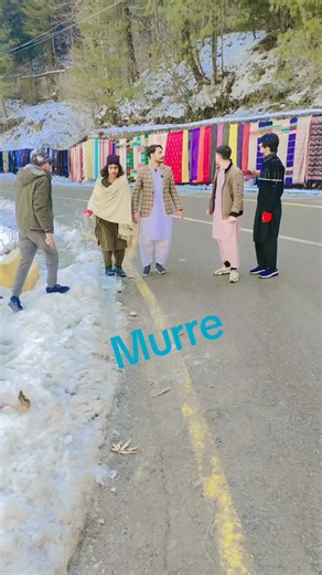 Exploring the Cultural Significance of Murre