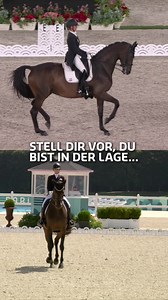 🥹 🙌🏼 She did it again -> Jessica von Bredow-Werndl mit 🥇2021 in Tokio & 2024 in Paris bei den Olympischen Spielen 😱🔥 #teamd #teamdeutschland #olympics #equestrian | Team Deutschland