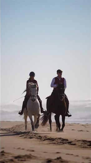 Epic ride with lusitano stallions at the beach 🐎