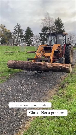 @farmoldhouse | No timber, no problem! 🌾🌾#farmlife #farmrestoration #farmwork #slowfarming #farmbuilding | Instagram