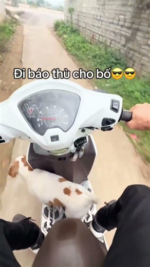 Ngày xưa em dí anh, hôm nay anh mang 'đàn em' ra 'nói chuyện'. Chạy đâu cho thoát #giaitri #doisong