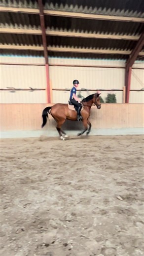 Miss Perfect: A Danish Showjumper's Journey