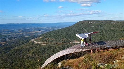 Weekend airtime at TTT 😎 | Tennessee Tree Toppers