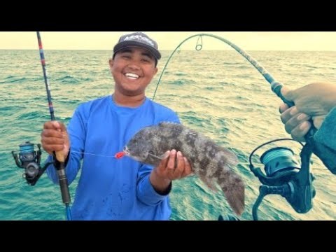 Tsunami Evict II & Carbon Shield III Review | Power Meets Precision!