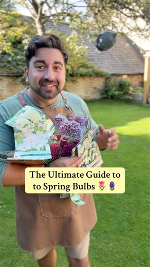 87K views · 1K reactions | Today’s Daily Gardening Tips are on spring bulbs and how to take care of them for amazing blooms next year. This ultimate guide to spring bulbs mean you’ll know when to plant your daffodils, tulips, hyacinths and much more. Easy plant tips for beginner gardeners. Thanks to Cherry Lane Garden Centres for the bulbs for this demonstration #gardeningtips #gardeningforbeginners #tulips #hyacinth #springbulbs | Gardening with Ish | Facebook